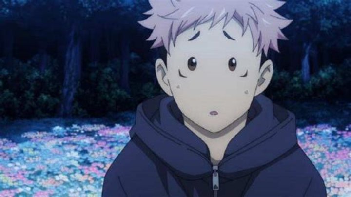 Beginner's Guide to Binge-Watching Anime on AnimeNoSub with Pro Tips