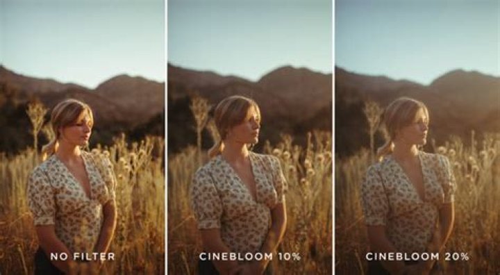 CineBloom vs. Other Platforms: Why It Stands Out for Movie Lovers